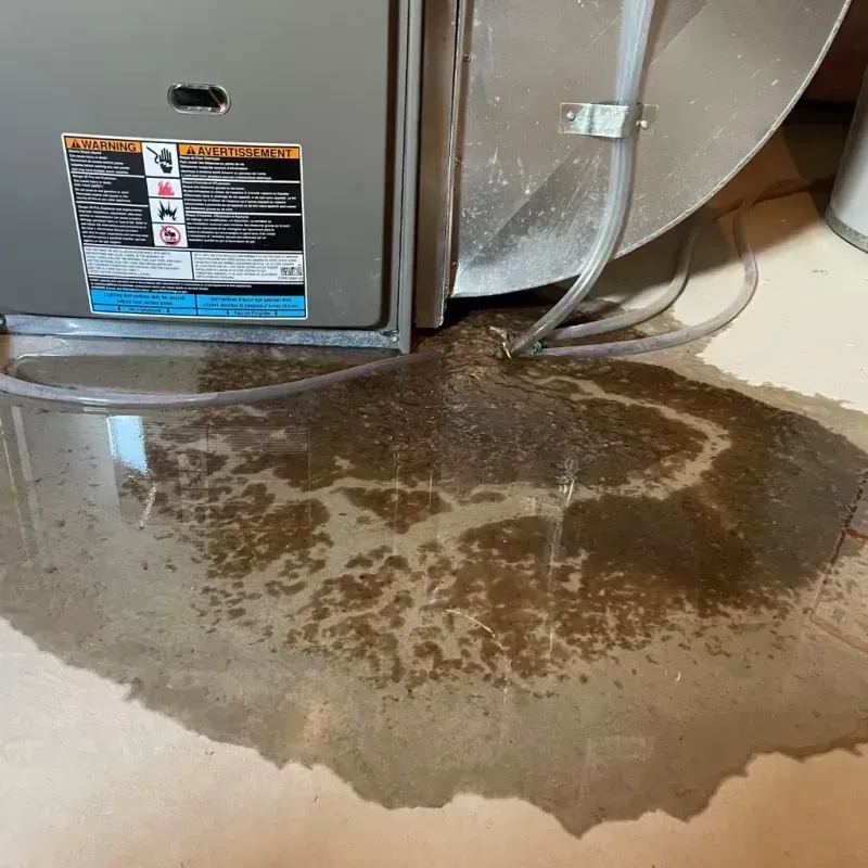 Appliance Leak Cleanup in Carlin, NV